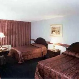 https://golden-palm-hotel-casino.las-vegashotels.net